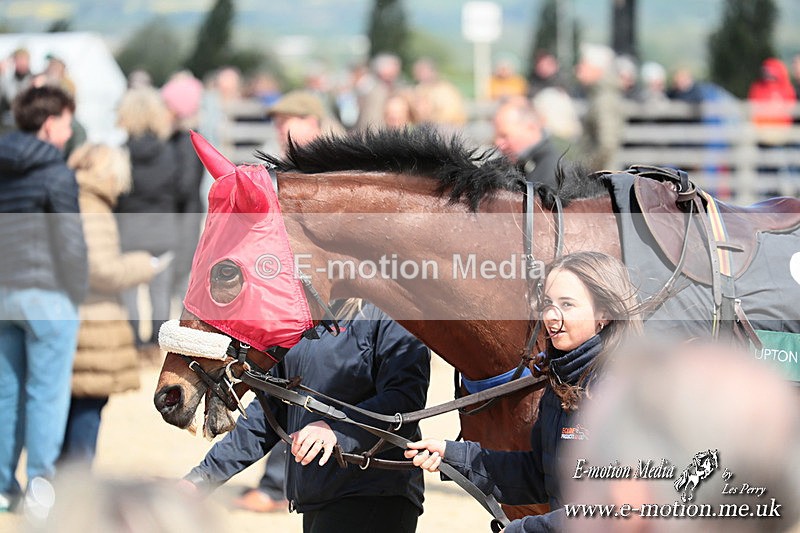 PtP 050525 84 - Mollington Races 05/05/25