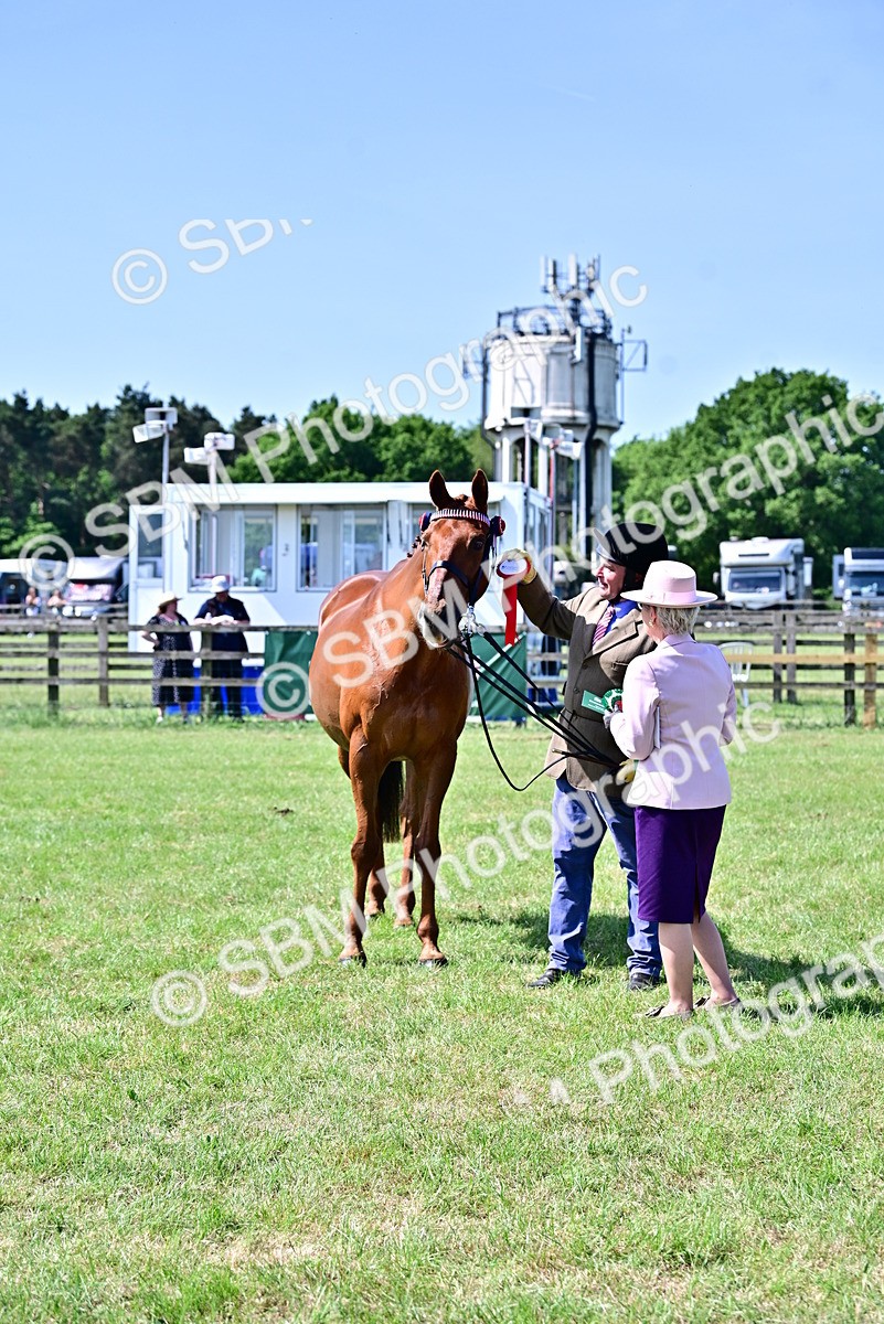 SBM_12869 - Class 98 - Retraining of Racehorse In Hand