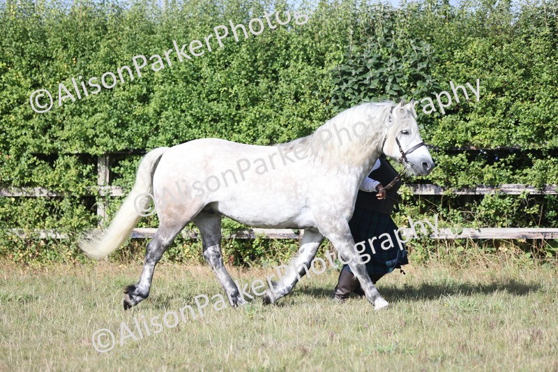 20250831-1348 - Class 21 - Inhand Open