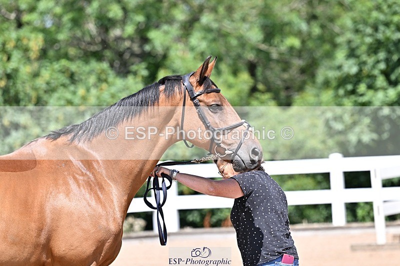 250716-123808-00075 - Trot Up 12.30 to 1.30