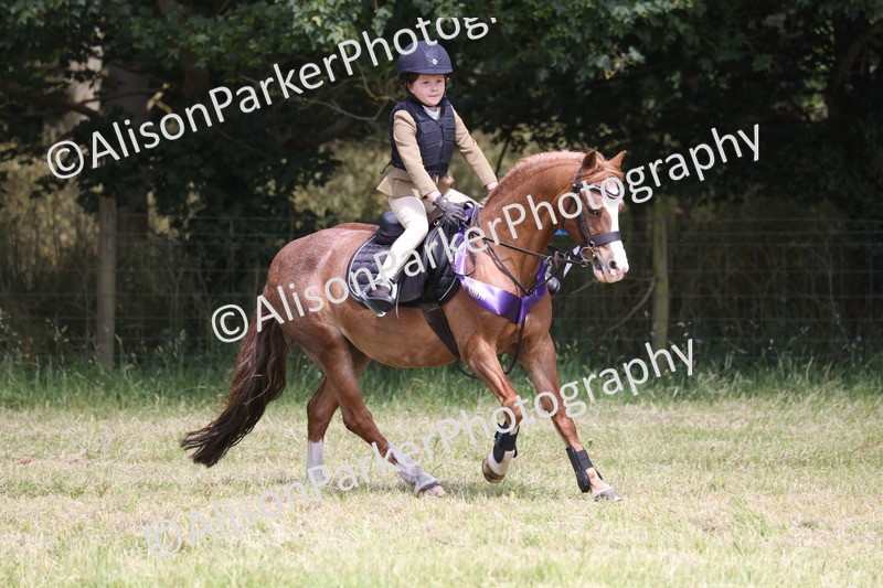 20260614-2180 - Class 21 - Novice Working Hunter Pony