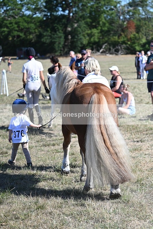 WJ7_1773 - Class 43 Best Six Legs (In hand)