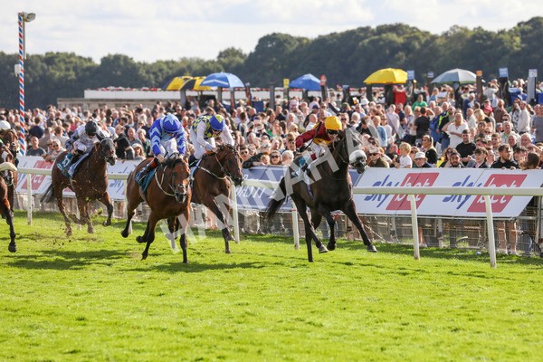 240824-Race 6-Tropical Storm-9201 - Race 6 4.45pm Julia Graves Roses Stakes