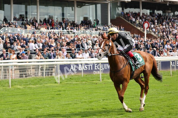 yr20082021r2-73 - Race 2 2.25pm Weatherbys Hamilton Lonsdale Cup (British Champion Series race)
