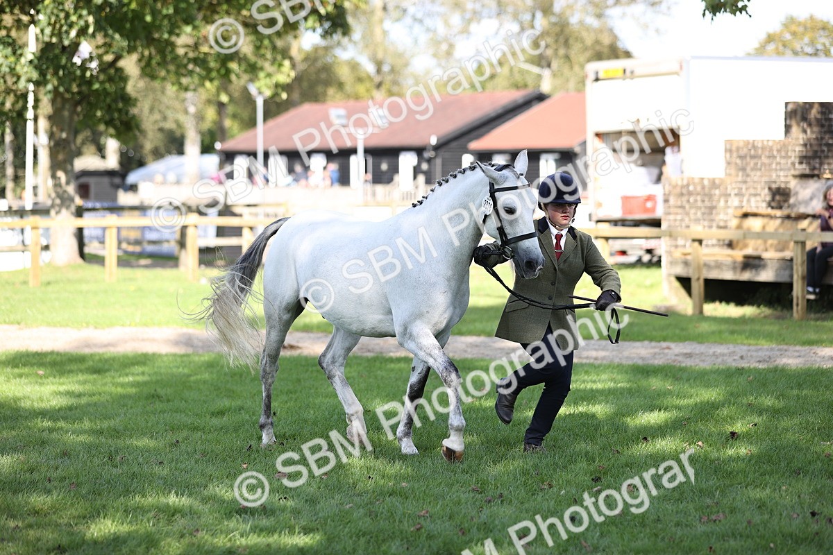 SBM_26227 - S5 - Novice & Newcomers In Hand