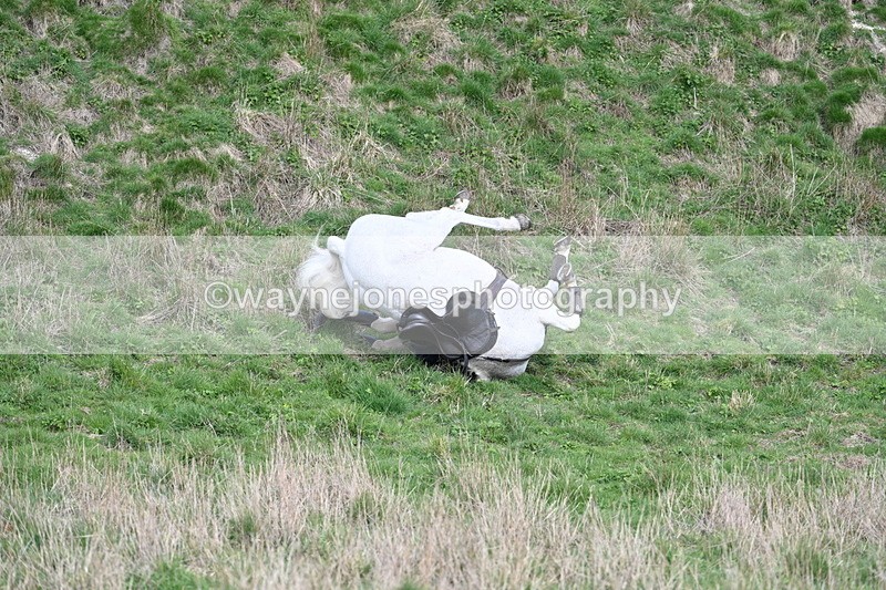WJ7_7914 - Jo Ramage