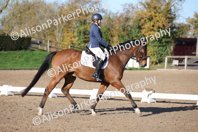 20251102-0425 - Class 3 - Novice 5