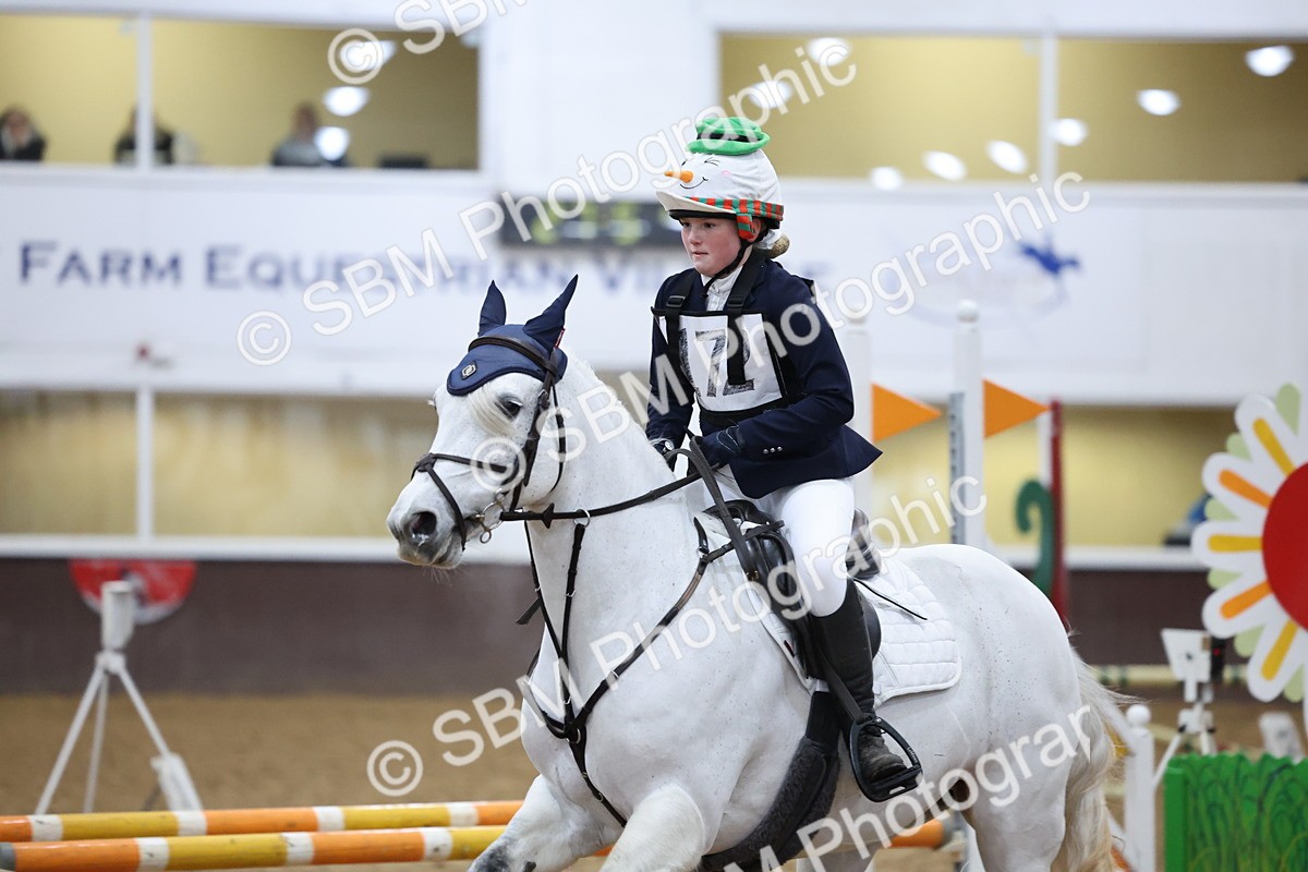 SBM_001065 - Class 3 - Christmas Tree Stakes - 60cm