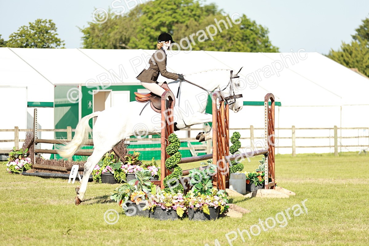 SBM_19931 - Class 115-116 - LIHS BSHA Rising Star Working Hunter & Show Horse