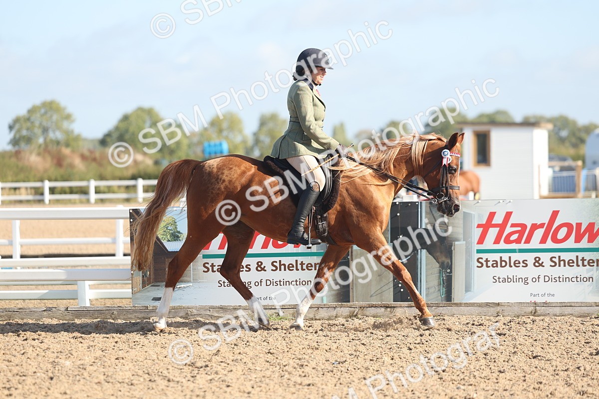 SBM_22280 - Class 803 - Ridden Combination 65+