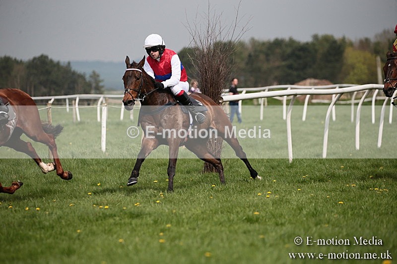 PtP 210418 17 - South & West Wilts Point-to-Point Larkhill 21/04/18