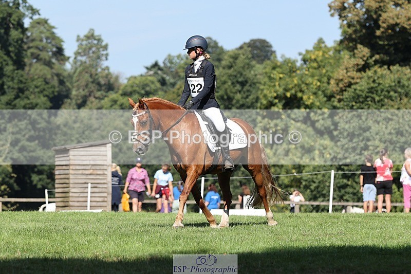 250823A-103821-27754 - Arena D