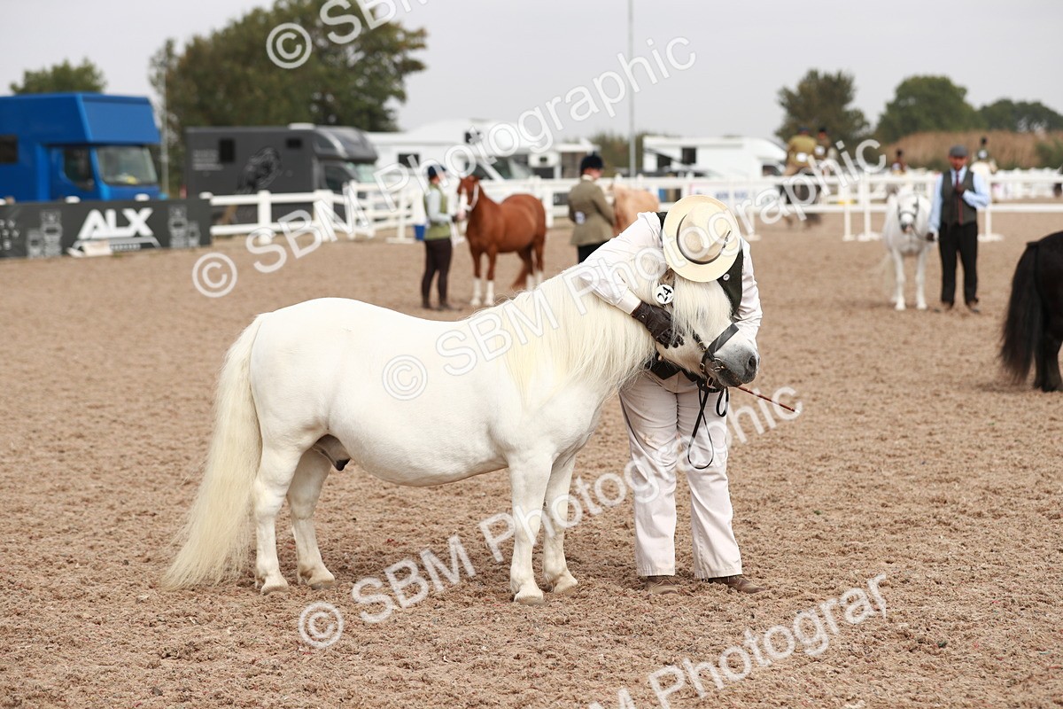 SBM_12529 - Class 207 IH M&M