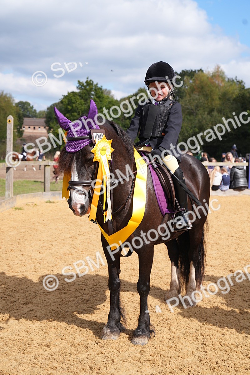 SBM_64515 - J2 - Mini Tour Junior Pony 30cm Championship