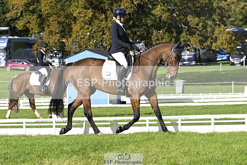 251023A-150746-04513 - E-386-Zara.Head