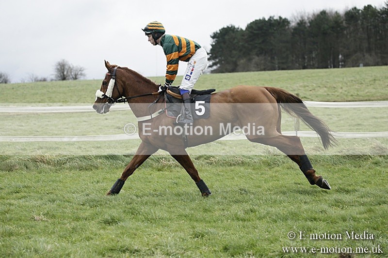 PtP 031217 225 - Hursley Hambledon Point-to-Point Larkhill 03/12/17
