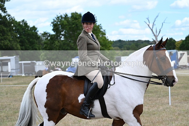 WJ7_5429 - Class 12 Ridden Cob
