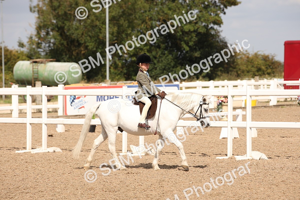 SBM_03738 - Class 19 Judge's Favourite