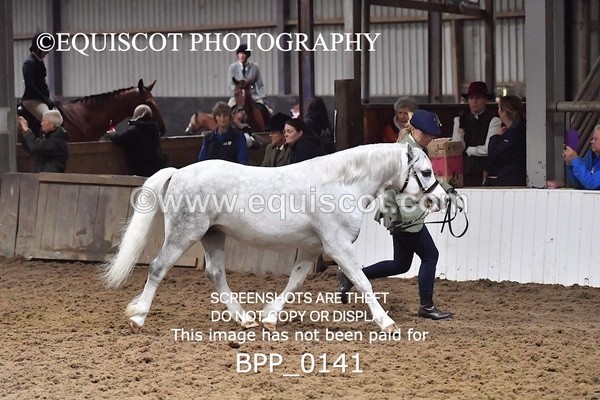 BPP_0141 - RING 1