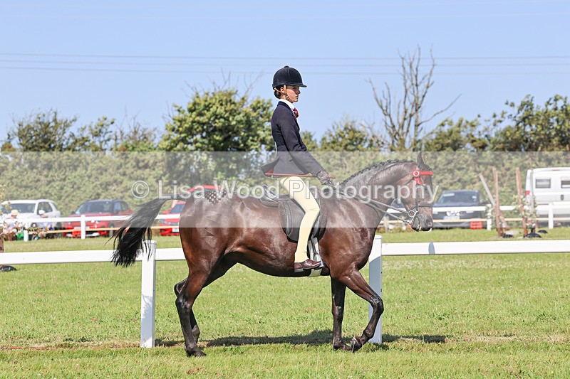 IMG_1874 - Class 33: Show Pony 148cm and under