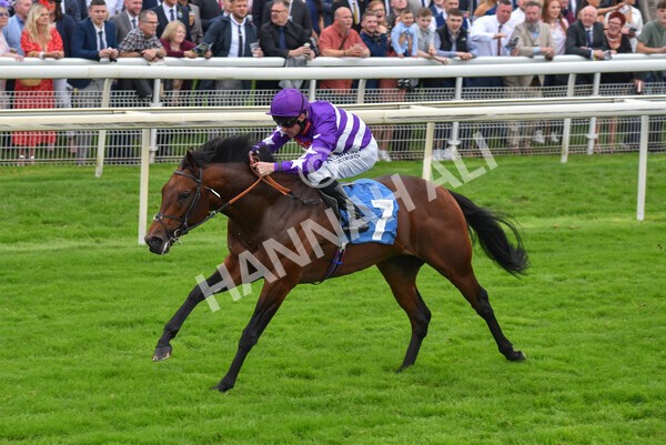 yr09102021r1-47 - Race 1 1.30pm Watch Racing Free Online At Coral Nursery Handicap