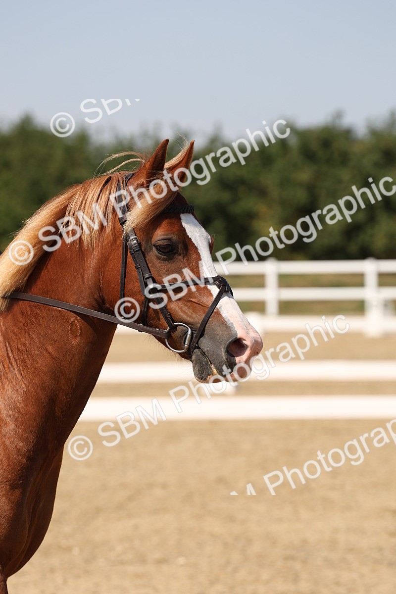 SBM_005742 - Prelim 4 - 13.34-15.39