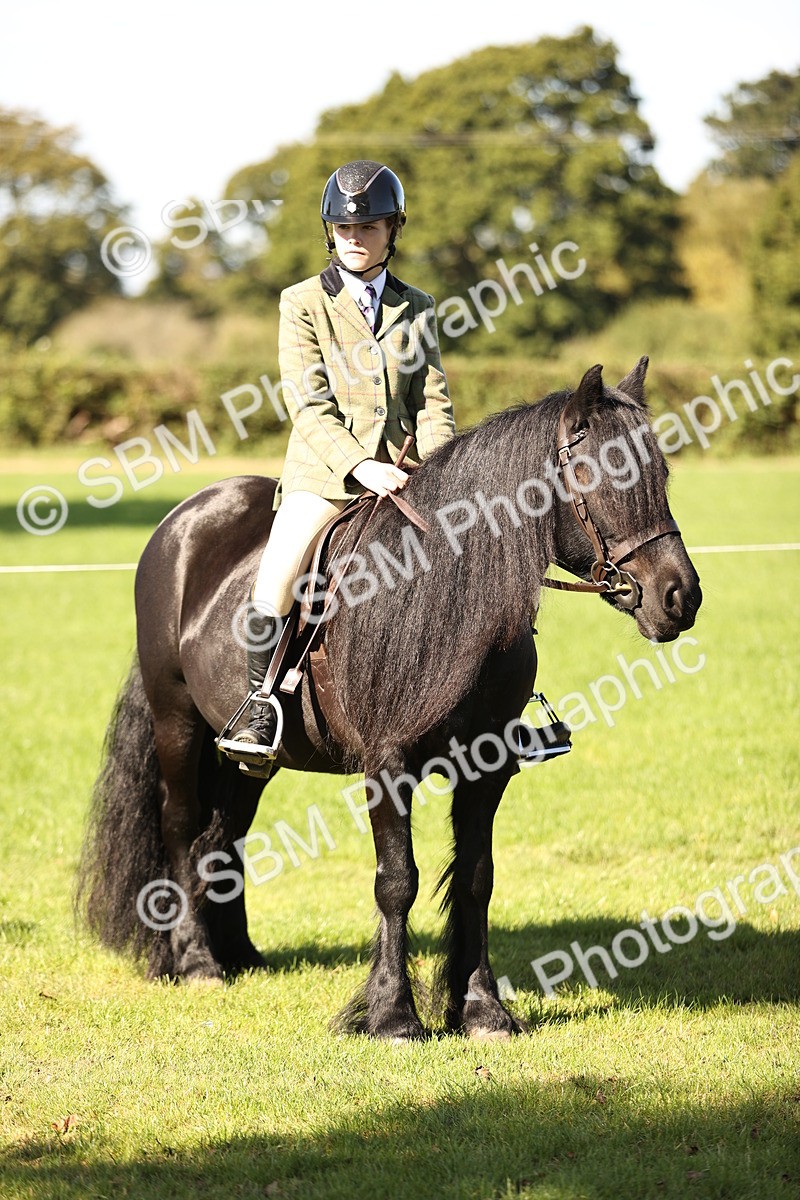 SBM_19175 - S3 - TSR Ridden Pony Showing