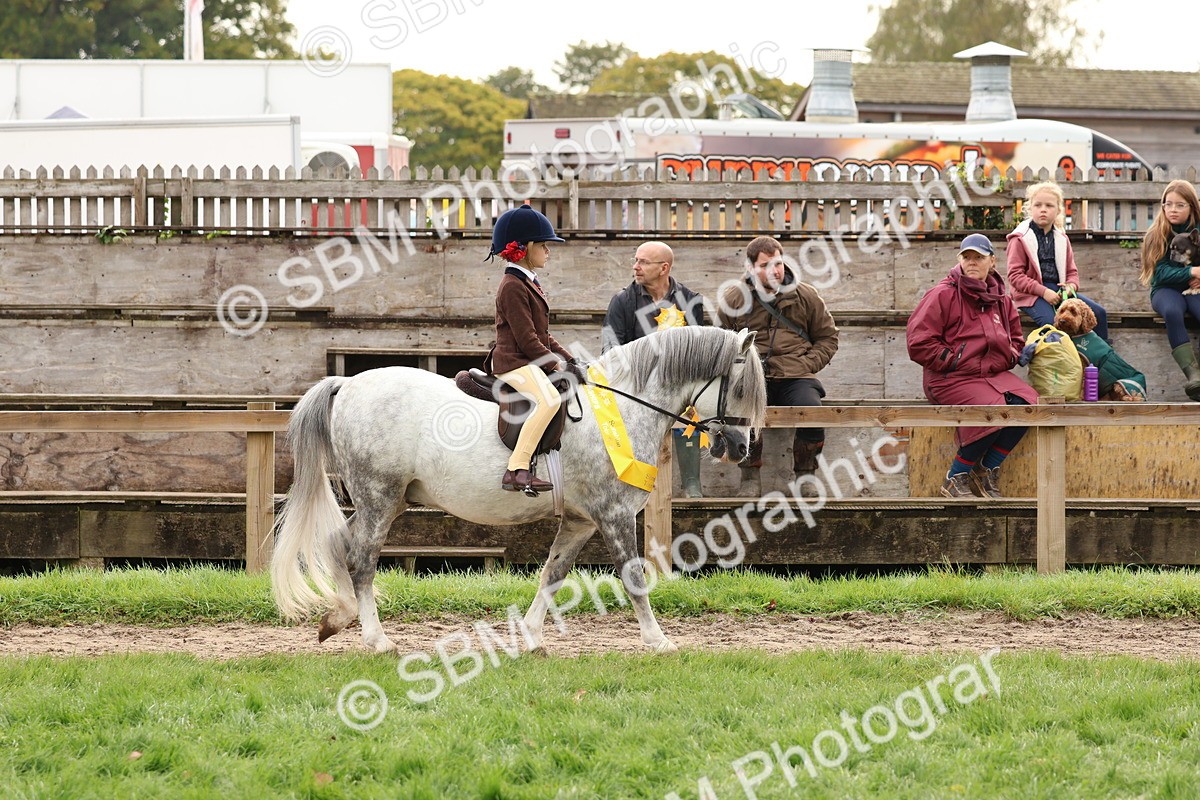 SBM_59749 - Start Supreme Championship