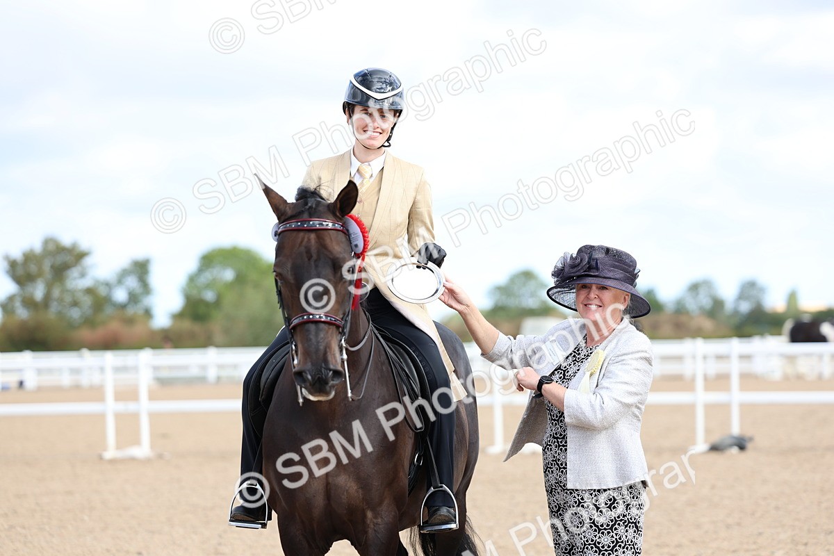 SBM_09175 - Class 303 - Ridden Pure Bred Horse Pony