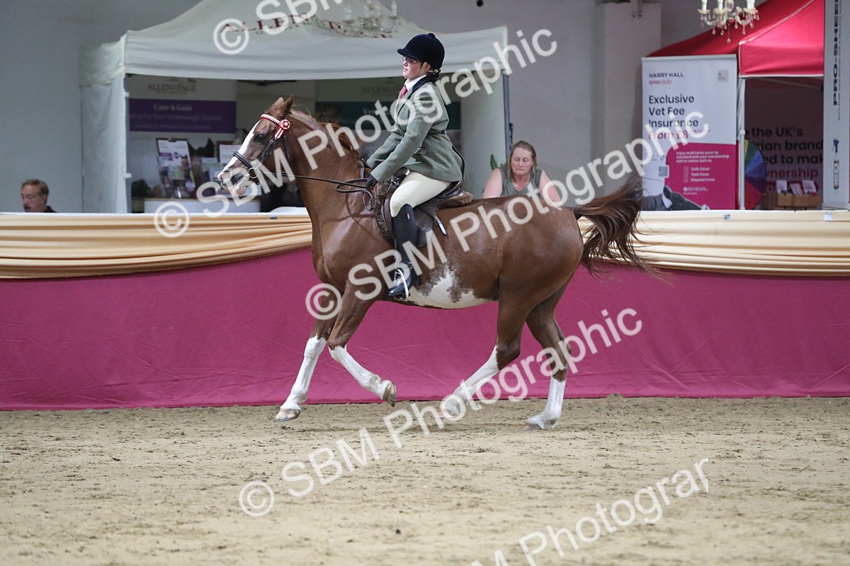 SBM_08454 - Class 11R Regional Ridden Veteran