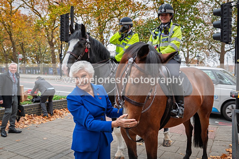 Z62_4496 - Animals In War Memorial 2025 - Park Lane, London
