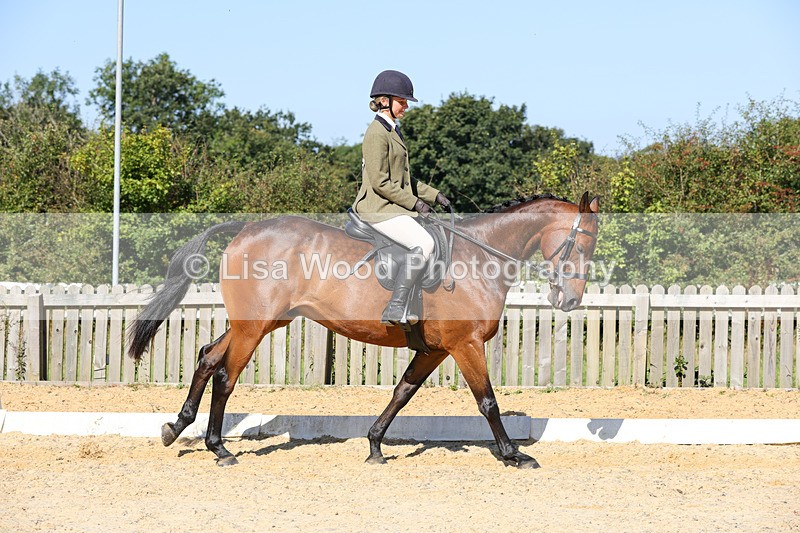 1X9A7878 - Class 10:Riding Horse