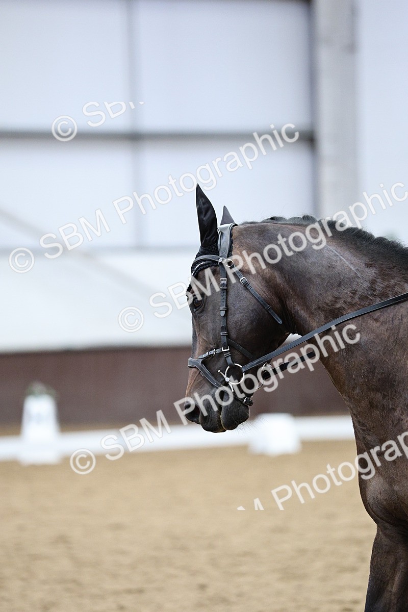 SBM_002611 - Class 14 - Advanced Medium 6