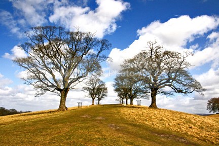 Lyme Park1 - Photo