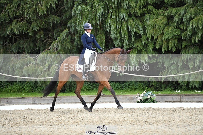 230525-143547-03144 - 322-CHANSON_DU_VILLAGE-Phoebe_Locke-WEDTrotUp+DR