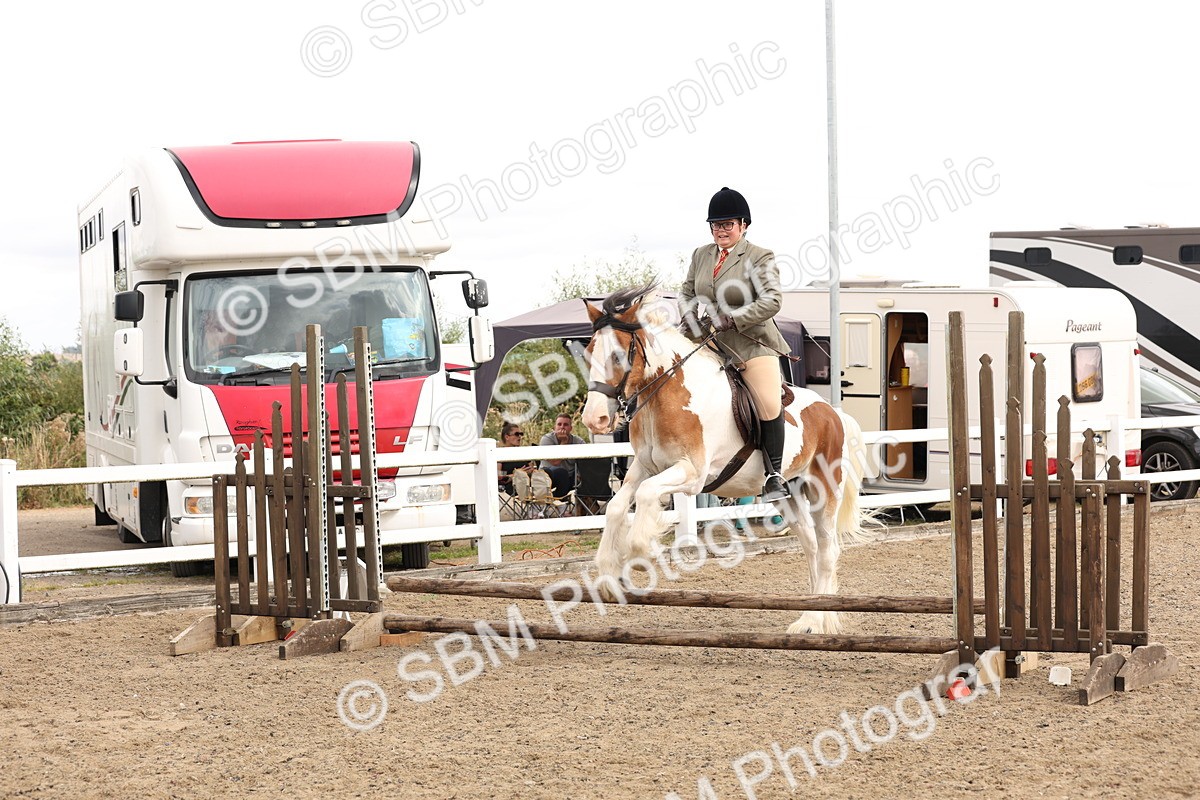 SBM_05201 - Class 56b -  Style & Performance - 50cm (20+)