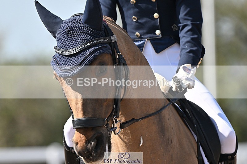 250404-134304-06452 - 061-Violet.Hawkins-DZL.Royal.Sunrise