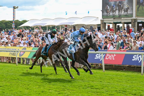140625-Race 5-Egoli-3090 - Race 5 4.10pm Reg Griffin Appreciation EBFstallions.com Maiden Stakes