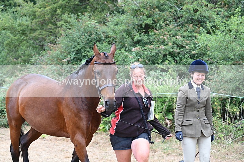 WJ7_8639 - Class 4a Prettiest Mare 14.2hh and over