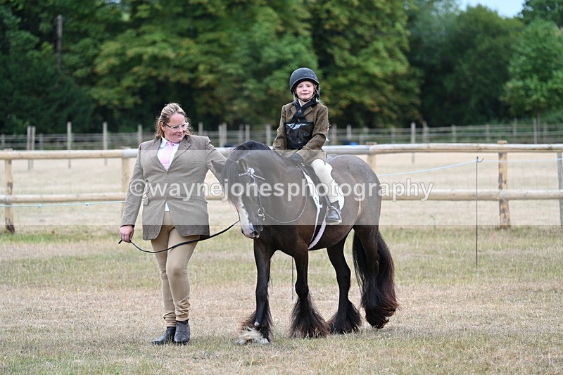 WJ7_7999 - Class 4 Prettiest Mare up to 14.2hh