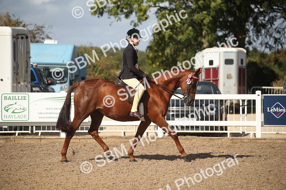 SBM_23002 - Class 603 - 2026 - Ridden Pre Vet