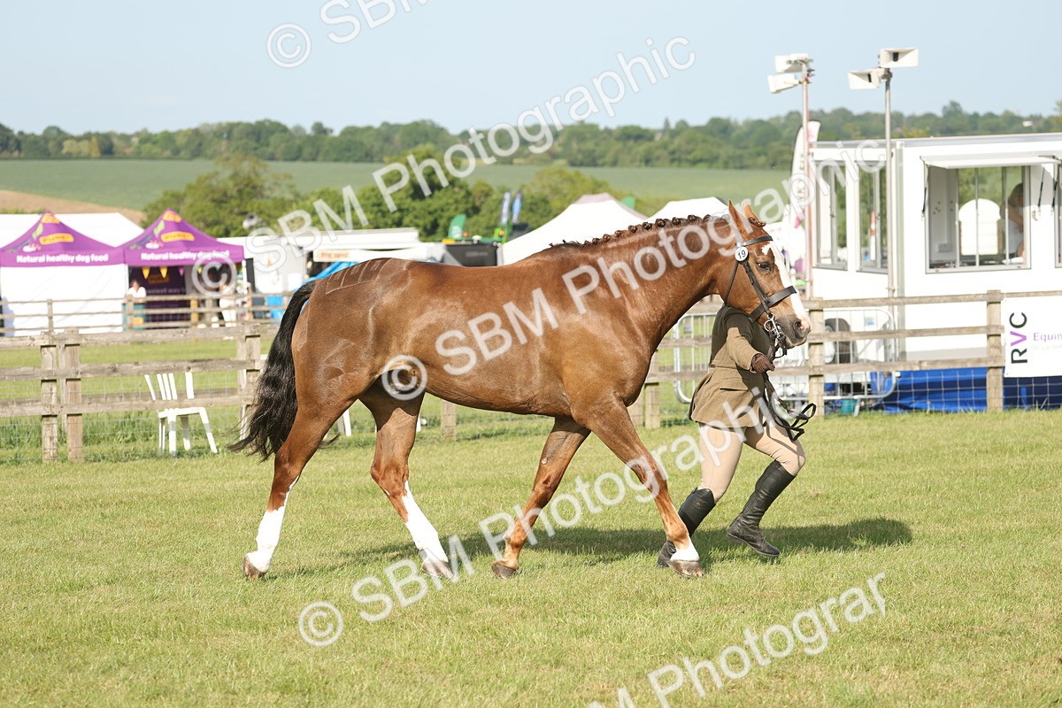 SBM_10482 - Class 33-38 - SSADL RIHS Qualifiers