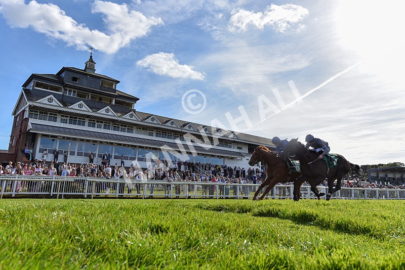 160924-Race 4-Watching Stars-6641 - Race 4