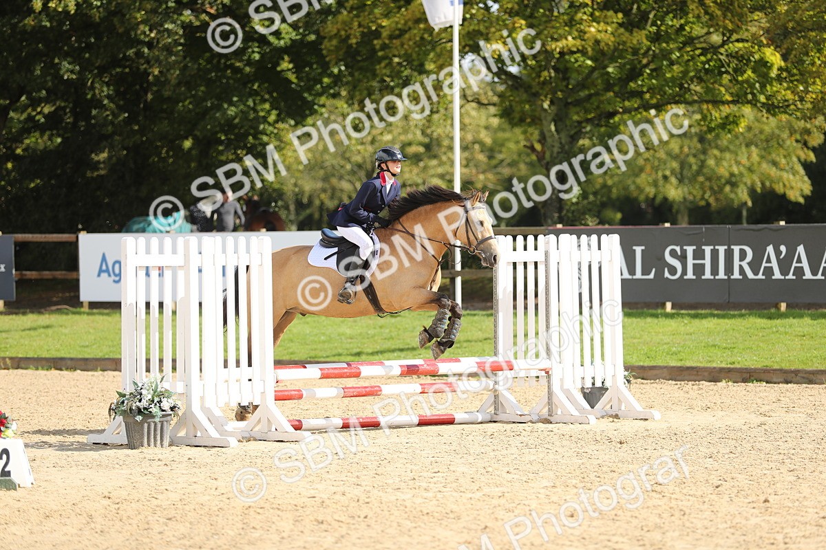SBM_40251 - J21 - Junior Horse 60cm Championship