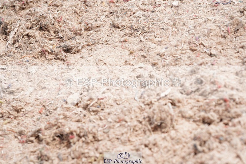 250523-122856-01471 - Cls 03 Snr Fox 1st Rnd