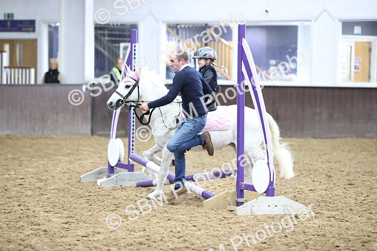 SBM_000011 - Class 1 - Fox Farriers 30cm