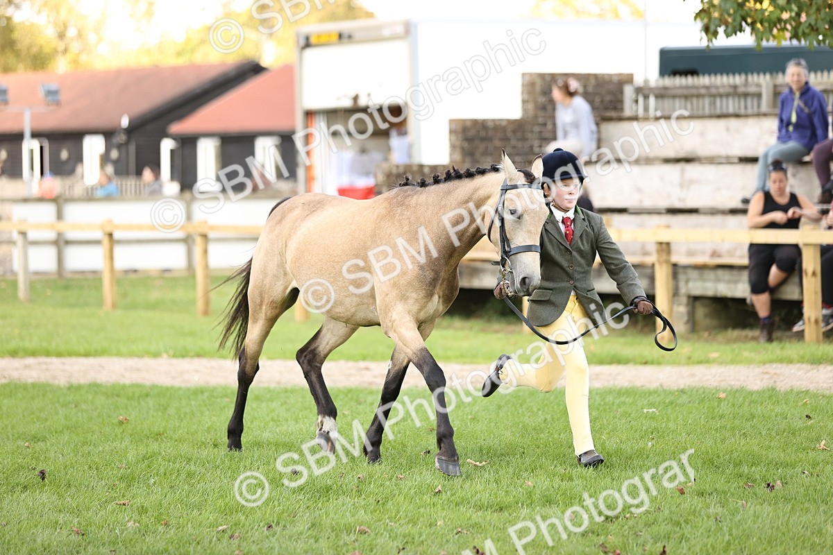 SBM_26265 - S5 - Novice & Newcomers In Hand