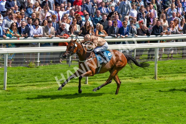 150723-Race 2-Nymphadora-8610 - Race 2 2.35pm John Smith's City Walls Stakes
