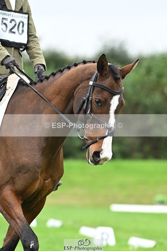 241024-125445-03559 - 520-Lottie.Newton-GOSSAMER