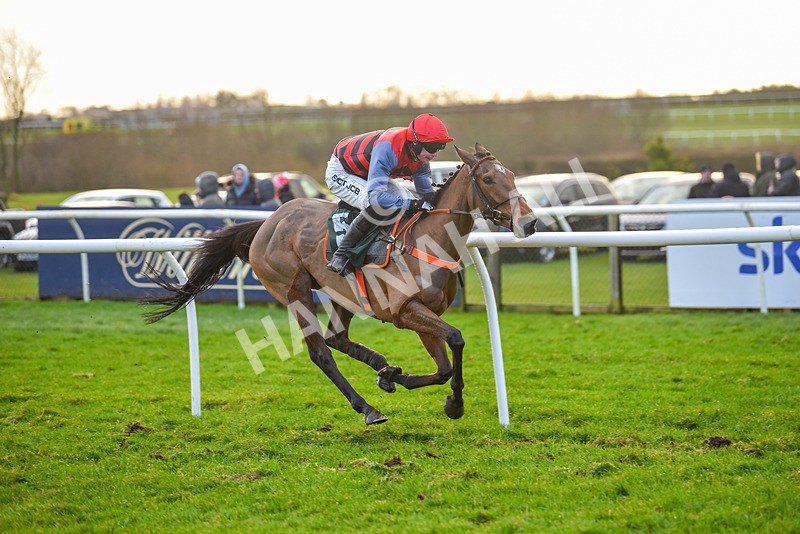 281223-Race 4-Lavida Adiva-2-11 - Race 4